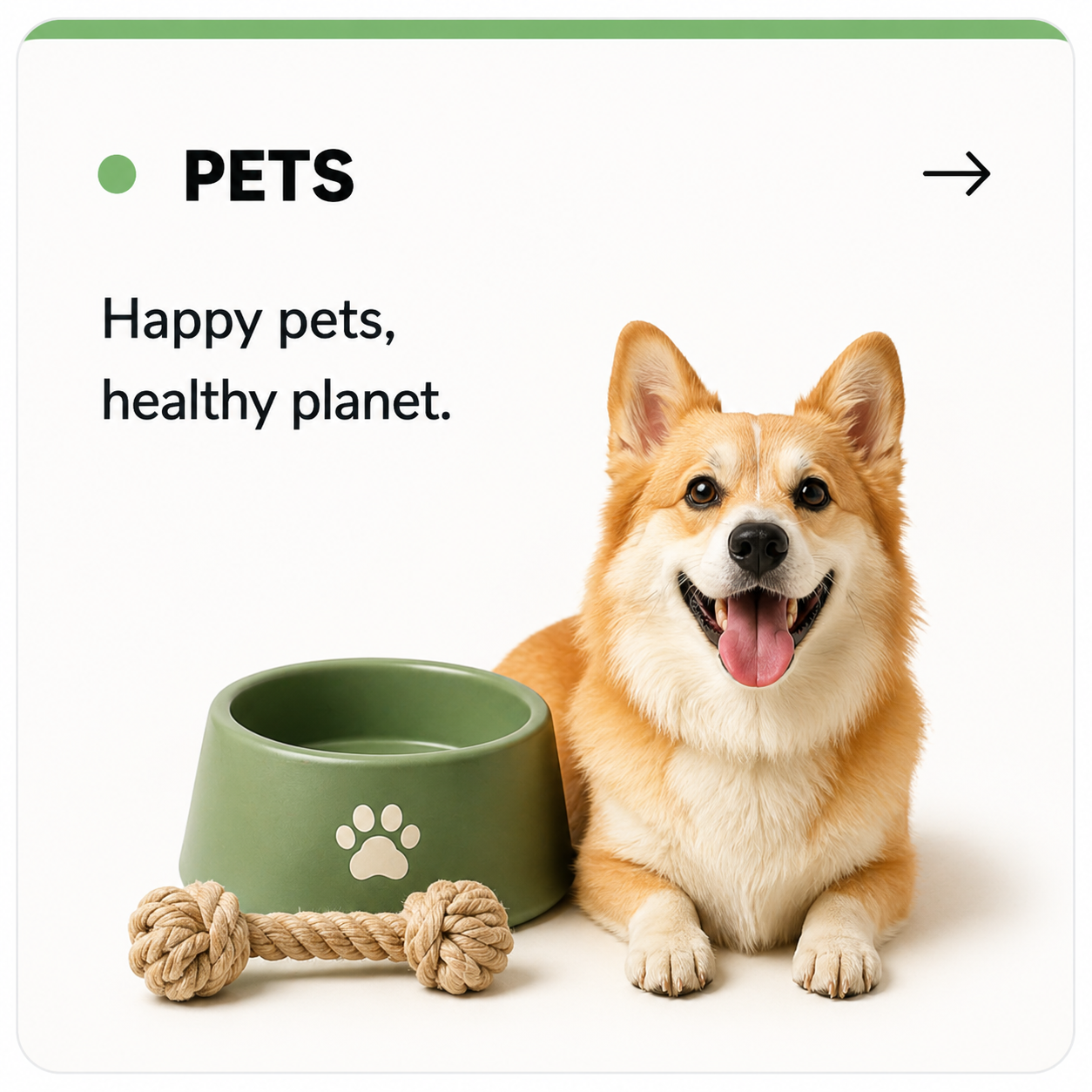 Pets