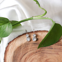 Cute Cubic Zircon Earrings-1