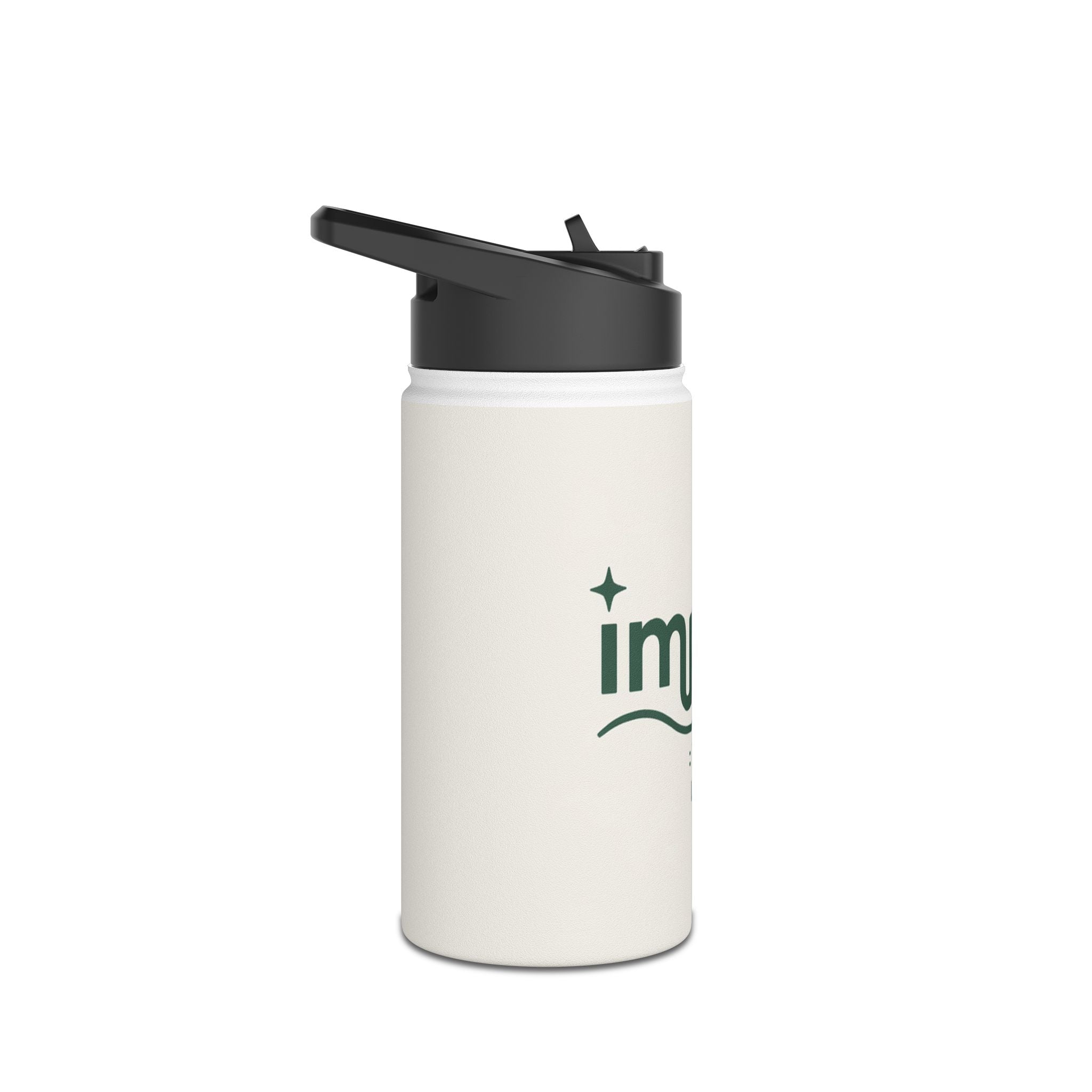 Planet Loyalty Stainless Steel Water Bottle