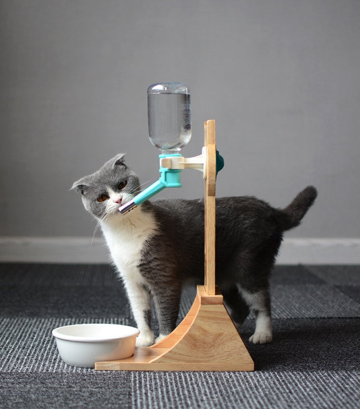 Cat water fountain dispenser with circulating filtered flow — view 3