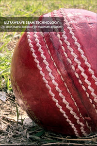 ZAP Club Cricket Leather Ball