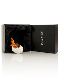 Orange Crocodile hatching from egg trinket box-3