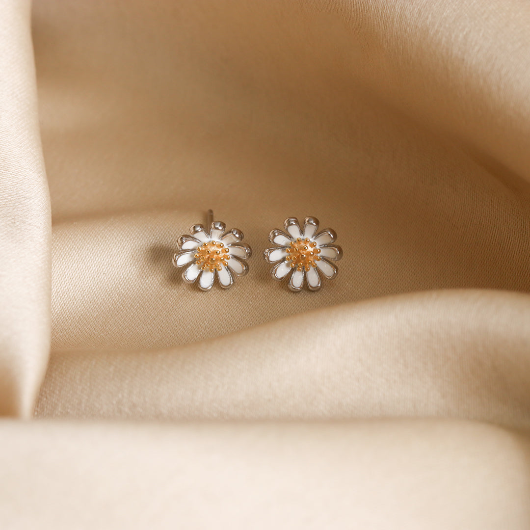 Daisy Studds-3