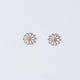 Daisy Studds