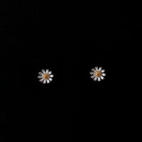 Daisy Studds-2