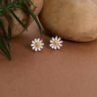 Daisy Studds-1