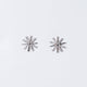 Zircon Star Studds