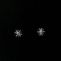 Zircon Star Studds-2