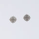Cutwork Pattern Earrings