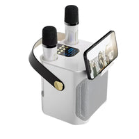 High Power Karaoke Bluetooth Speaker with Dual Microphone