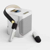 High Power Karaoke Bluetooth Speaker with Dual Microphone