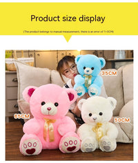 Huggable Heart Teddy Bear Plush-2