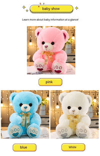 Huggable Heart Teddy Bear Plush-4