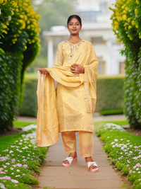 Silk Embroidered Straight Kurti with Pant and Dupatta-4