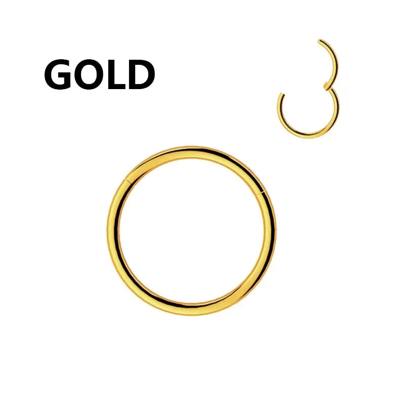 1PC Stainless Steel Nose Hoop Septum Piercing Clicker Hinged Segment Rings Lip Helix Daith Conch Cartilage Earrings Sexy Jewelry