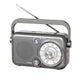Portable AM/FM/SW Radio with USB & TF Playback